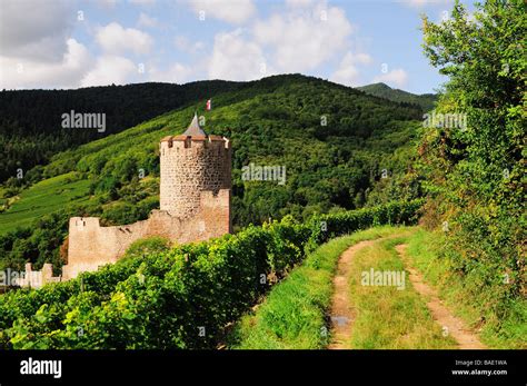 kaysersberg haut rhin.